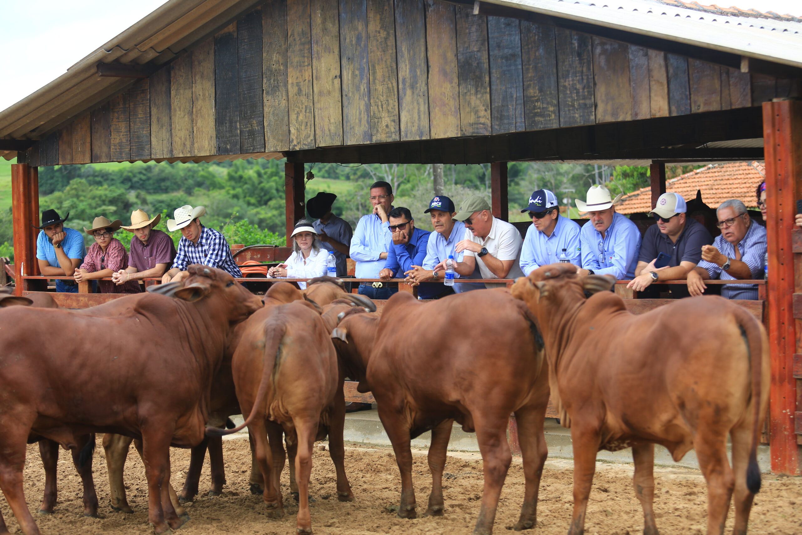 Workshop dinâmico encantou jurados da ABCZ