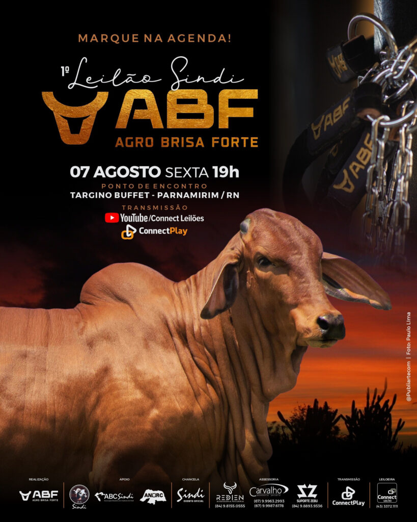 Leilão Virtual Sindi Brisa Forte