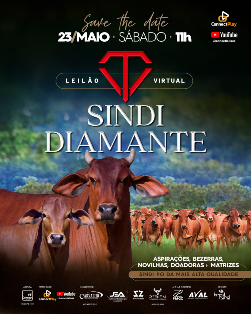 Leilão Sindi Diamante