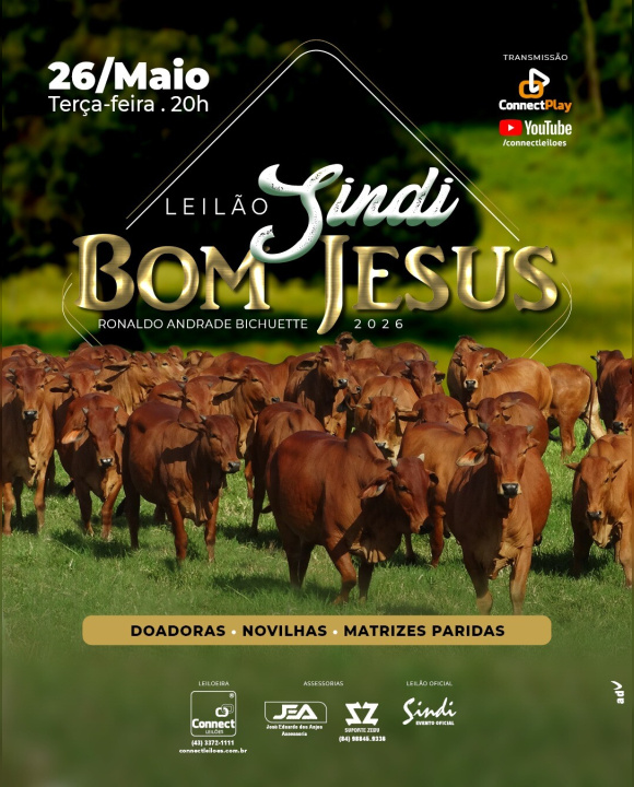 Leilão Sindi Bom Jesus