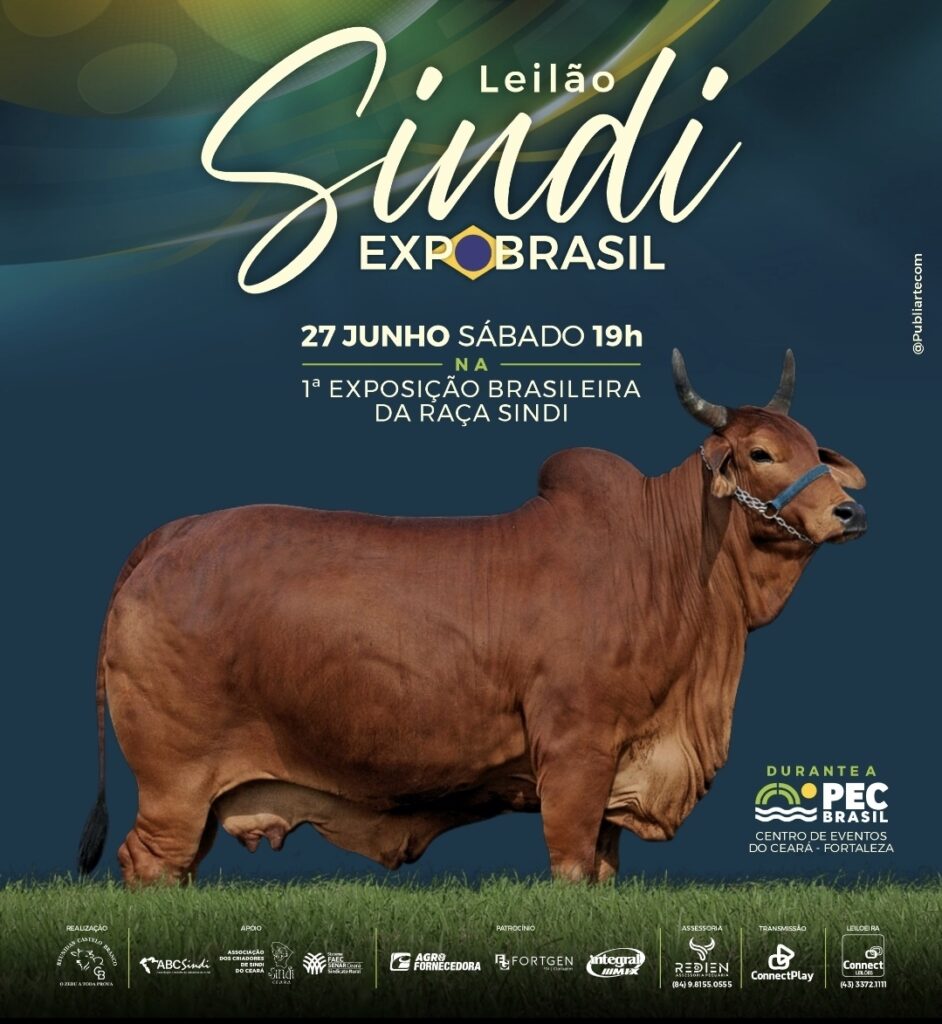 Leilão Sindi ExpoBrasil